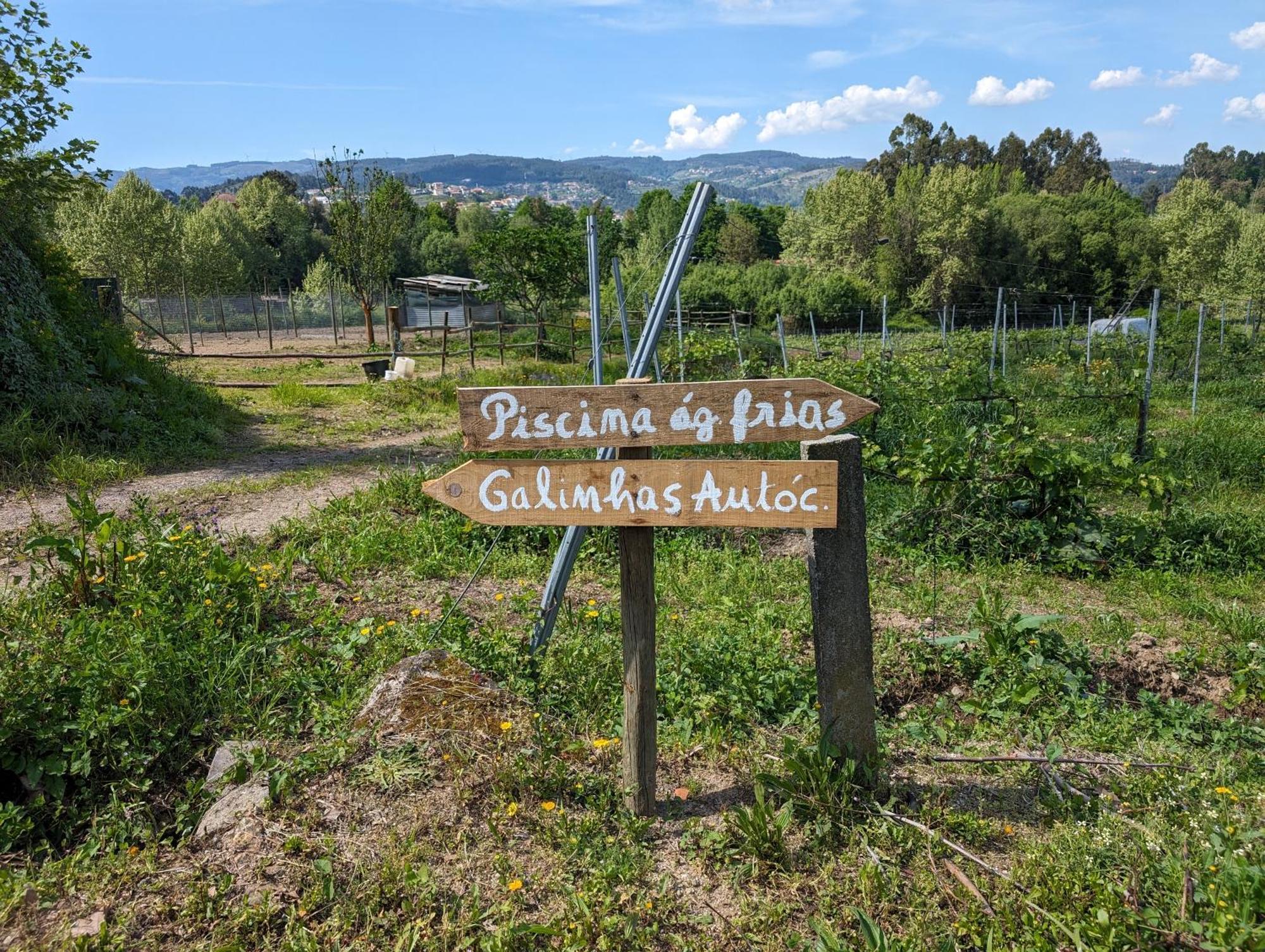 Quinta Da Lage Agroturismo E Enoturismo Celorico De Basto Eksteriør bilde